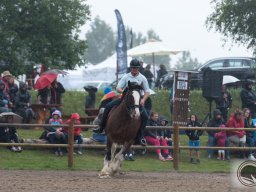 DSC_2013_web